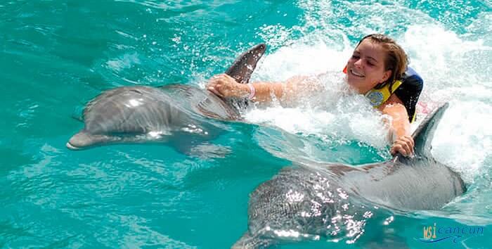 dolphin swim cancun