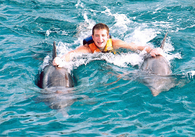 dolphin swim isla mujeres