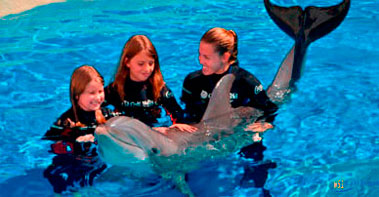 cancun dolphin swim