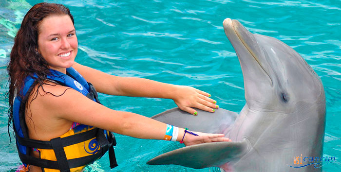 cancun dolphin